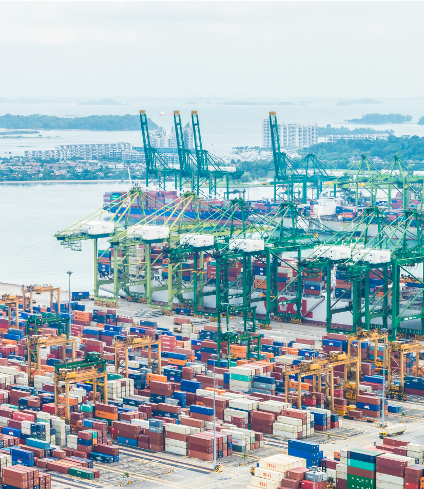 import-export